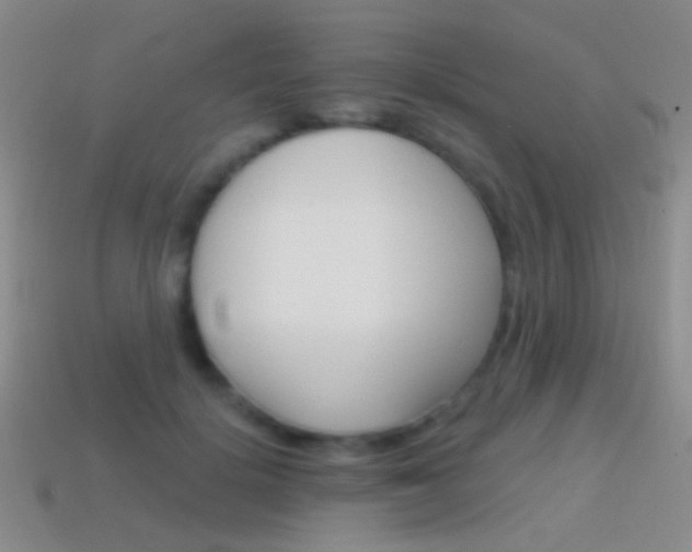 X0000114580652200910191055