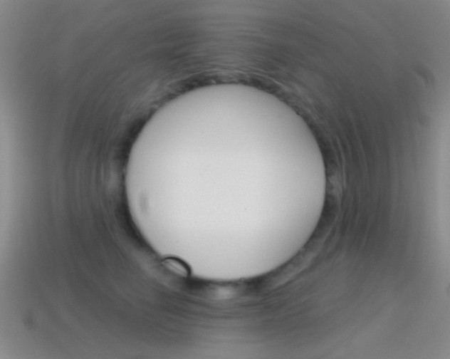 X0000114580662200910191055