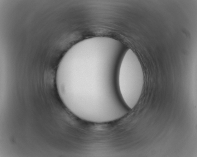 X0000114580664200910191055