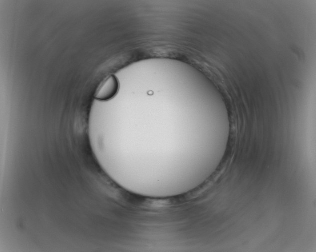 X0000114580665200910191055