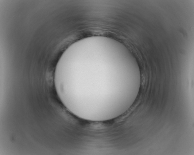 X0000114580666200910191055