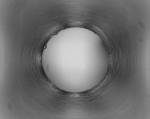 X0000114580669200910191055