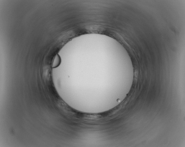 X0000114580671200910191055