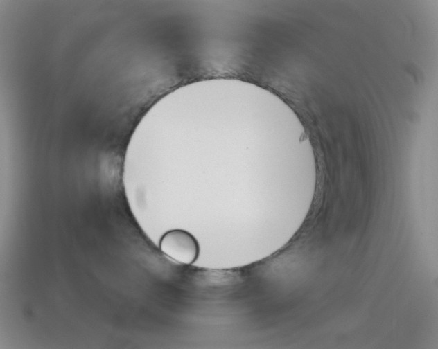 X0000114580672200910191055