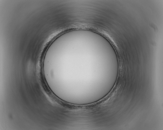 X0000114580674200910191055