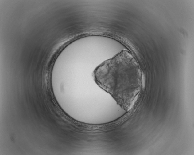 X0000114580675200910191055