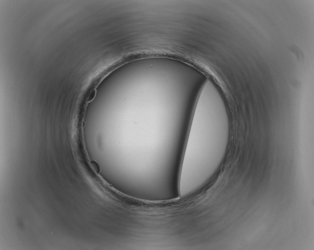X0000114580677200910191055