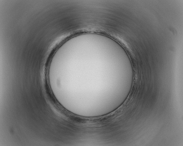 X0000114580678200910191055
