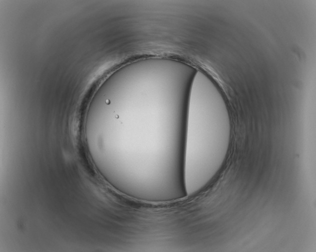 X0000114580679200910191055