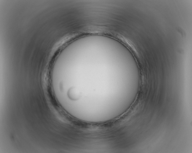 X0000114580682200910191055