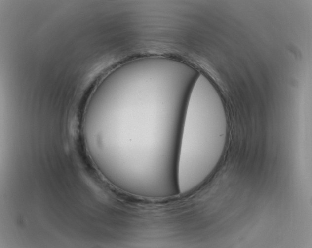 X0000114580683200910191055