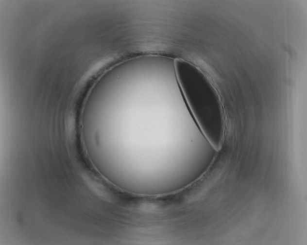 X0000114580684200910191055