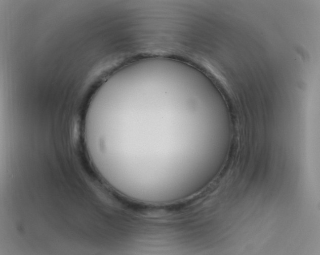 X0000114580685200910191055
