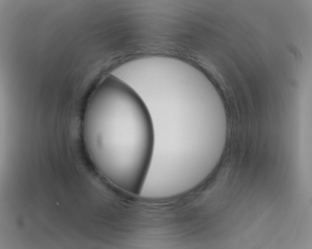 X0000114580689200910191055