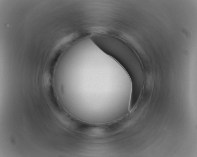 X0000114580692200910191055
