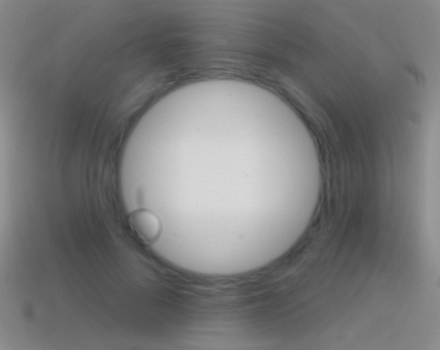 X0000114580696200910191055