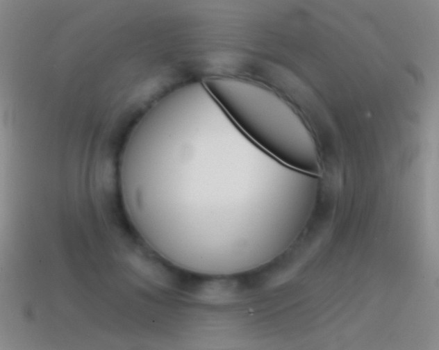 X0000114580700200910191055