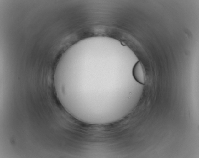 X0000114580702200910191055