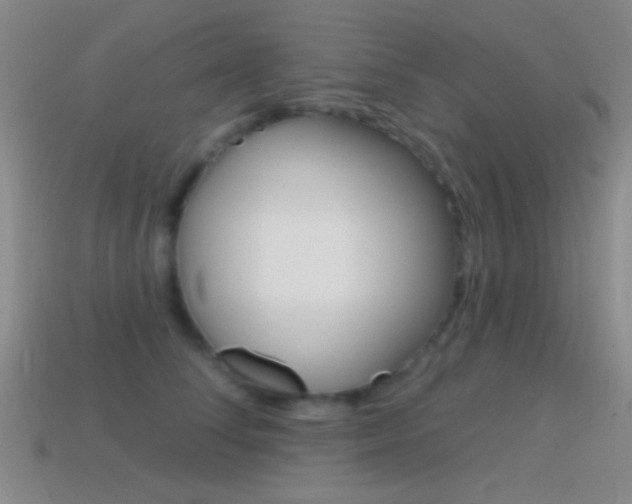 X0000114580708200910191054