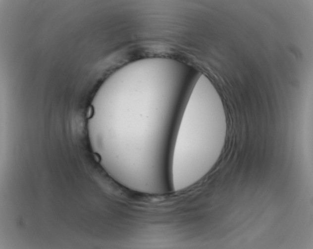X0000114580715200910191054
