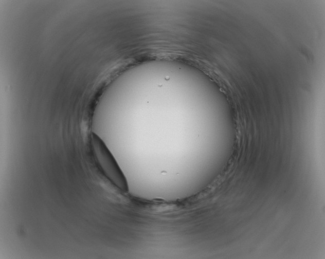 X0000114580716200910191054