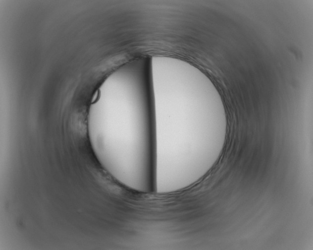 X0000114580719200910191054