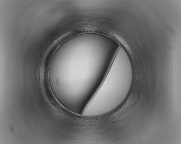 X0000114580722200910191054