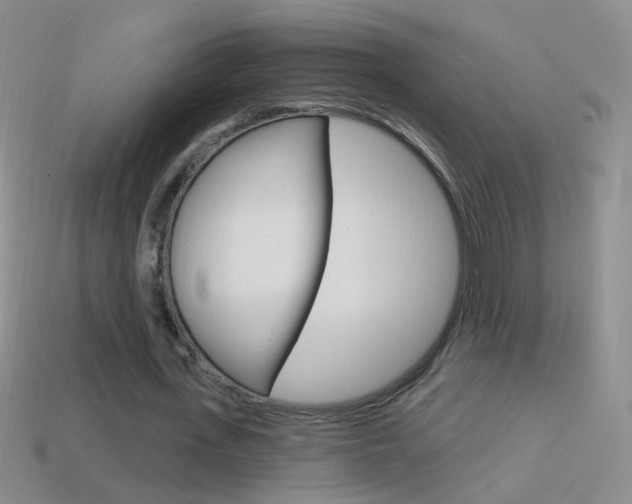 X0000114580723200910191054