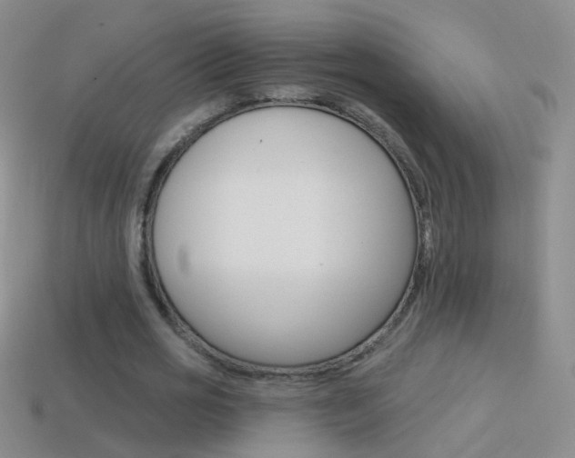 X0000114580725200910191054