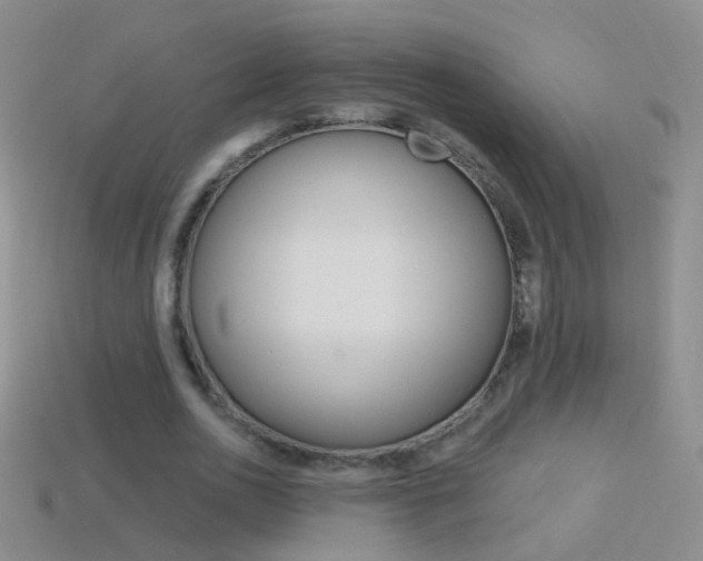 X0000114580726200910191054