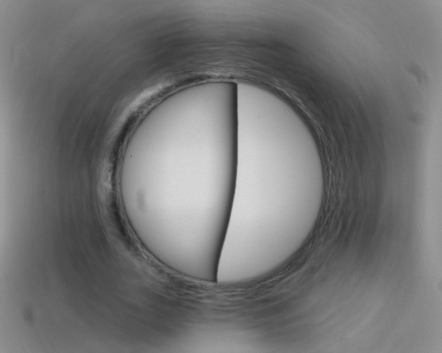 X0000114580727200910191054