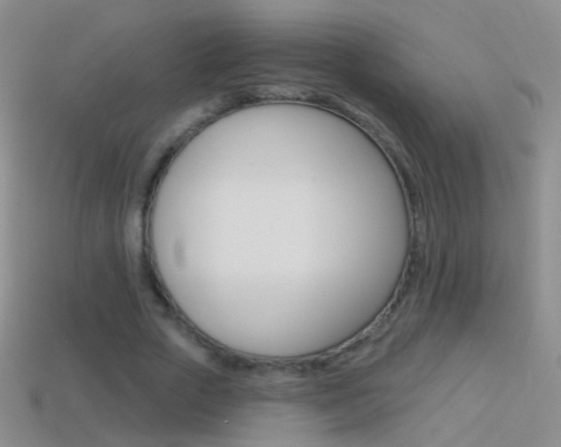 X0000114580729200910191054