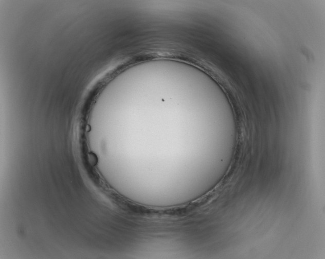 X0000114580730200910191054