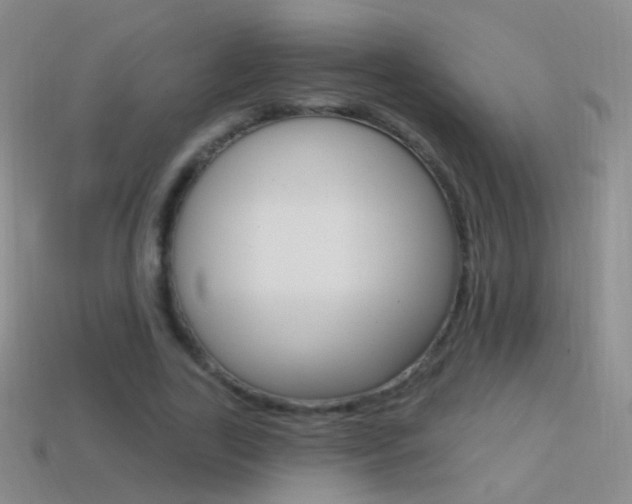 X0000114580731200910191054