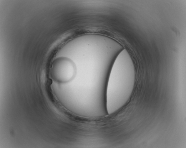 X0000114580734200910191054
