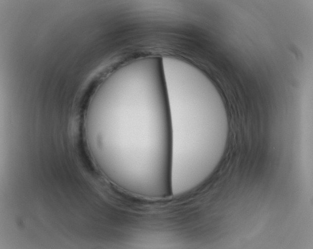 X0000114580735200910191054