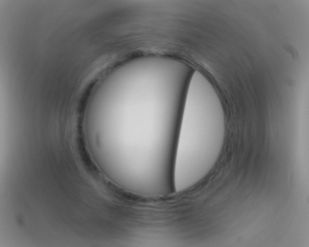 X0000114580738200910191054
