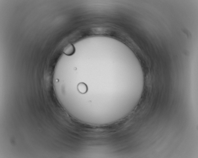 X0000114580741200910191054