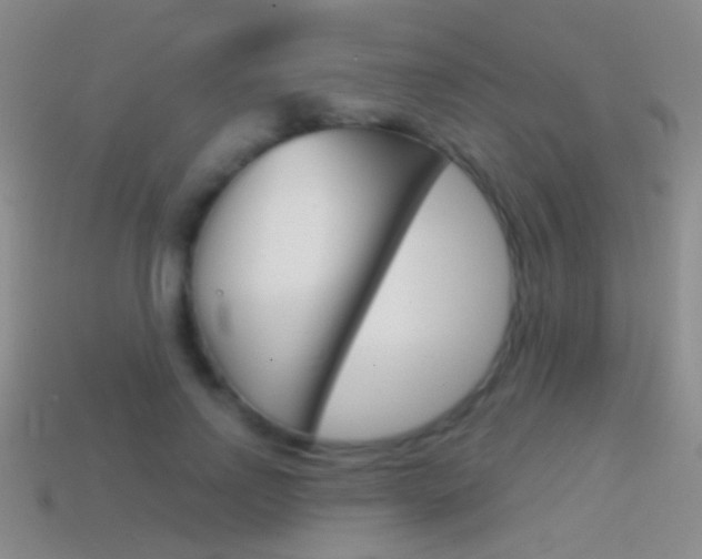 X0000114580742200910191054