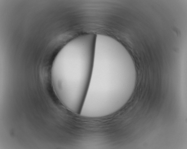 X0000114580743200910191054