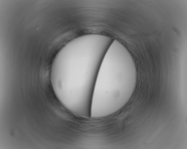X0000114580745200910191054
