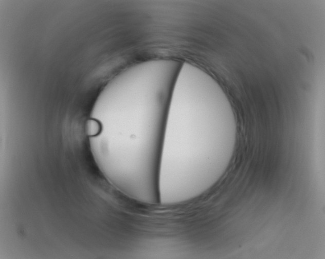 X0000114580746200910191054