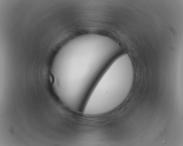 X0000114580750200910191054