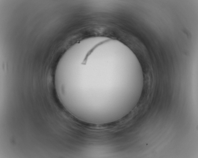 X0000114580754200910191054