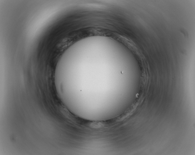 X0000114580762200910191054