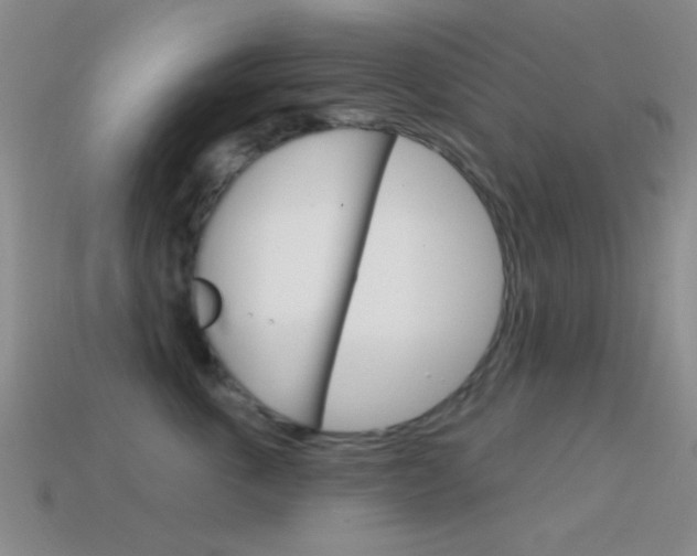 X0000114580763200910191054