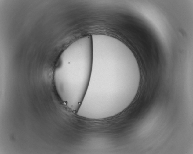 X0000114580767200910191054