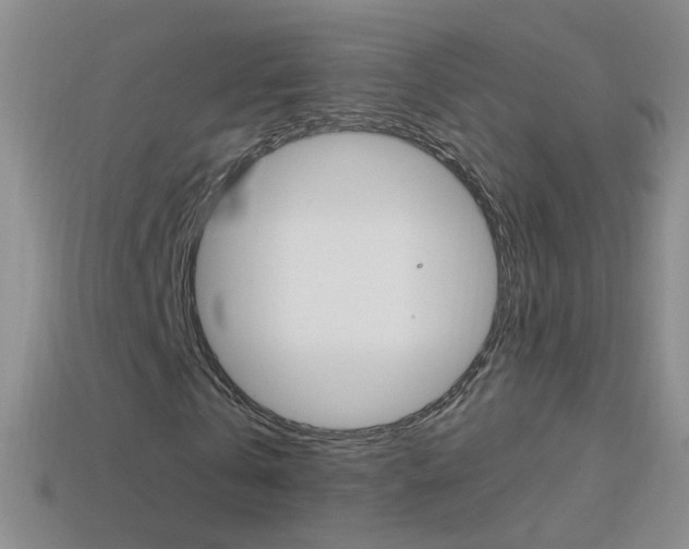 X0000114580769200910191054