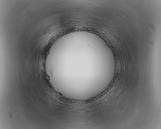 X0000114580770200910191054