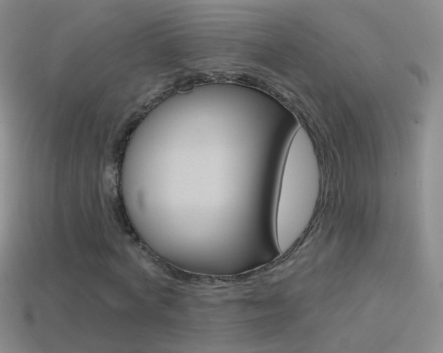 X0000114580772200910191054